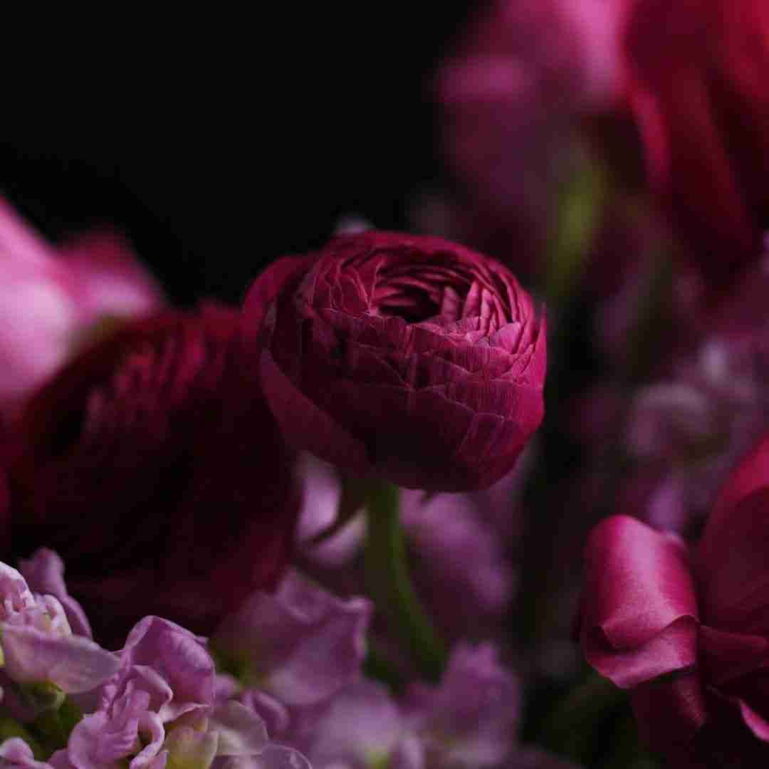  میشنوی صدای قلبم واسه تو میزنه هر بار