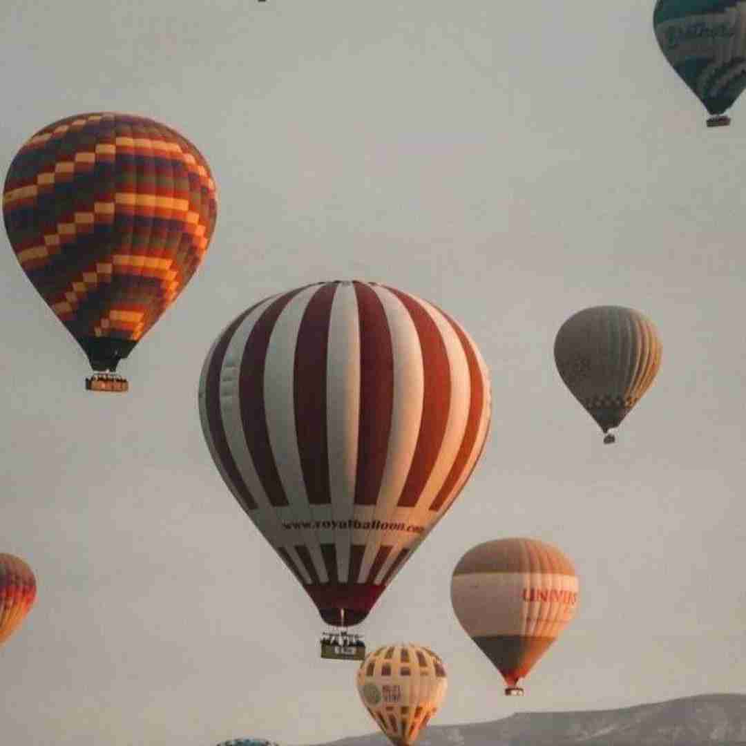  میبینم چقد لیدی یکی دوتاشون میلفن و یکی دوتا بیبی
