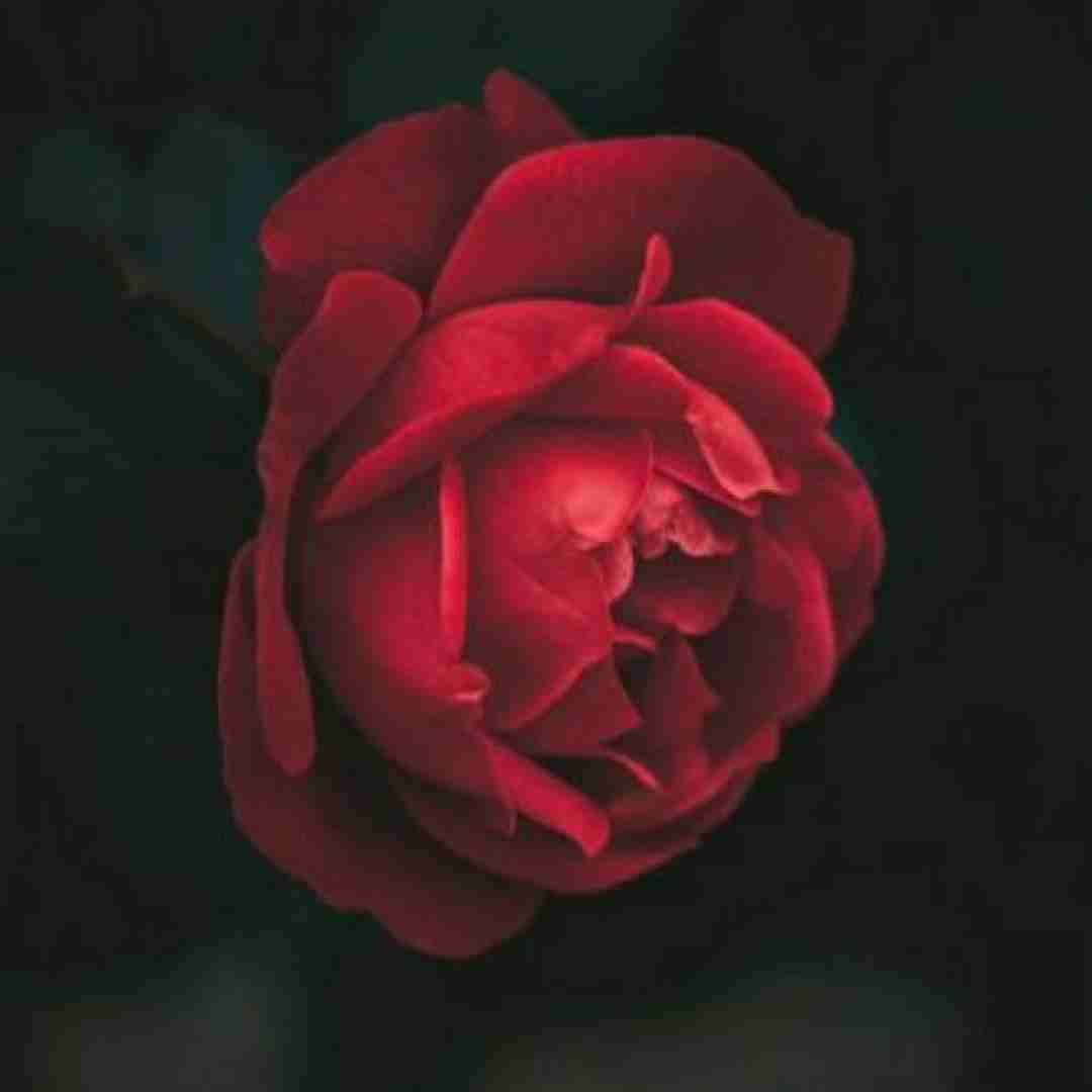  از این زندگی سهمم شده من فقط‌ ای کاش