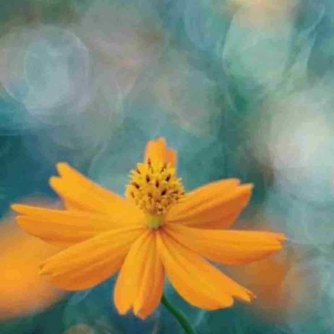  کاش میچربید زور عقلم به‌ قلبم که حالا نبینم