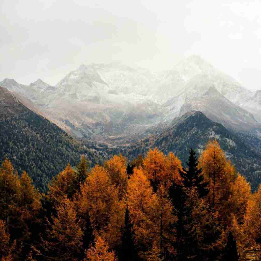  هی آقا ببخشید میشه مال من شی