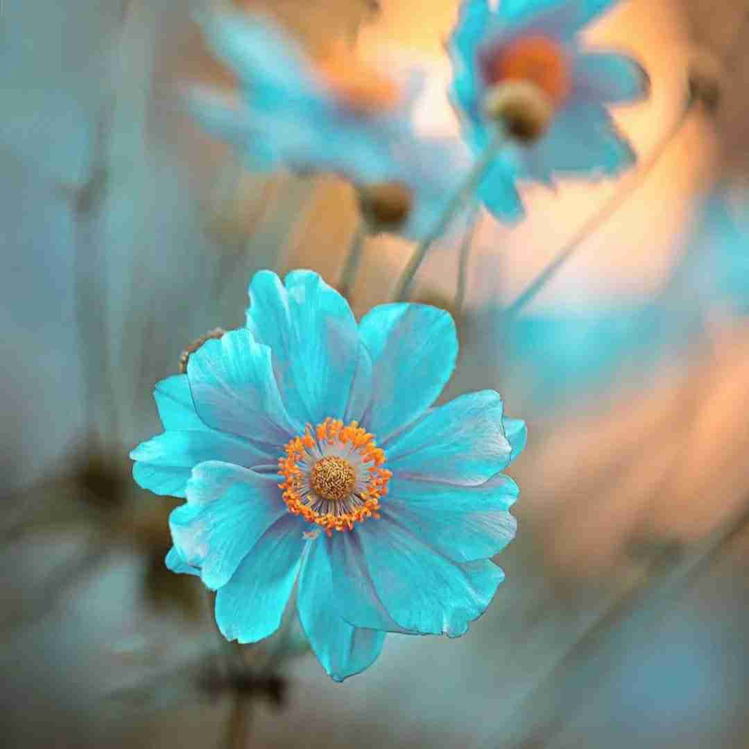 خواستم درست شه بدتر شد توی دلم میگفتم برگرد خب