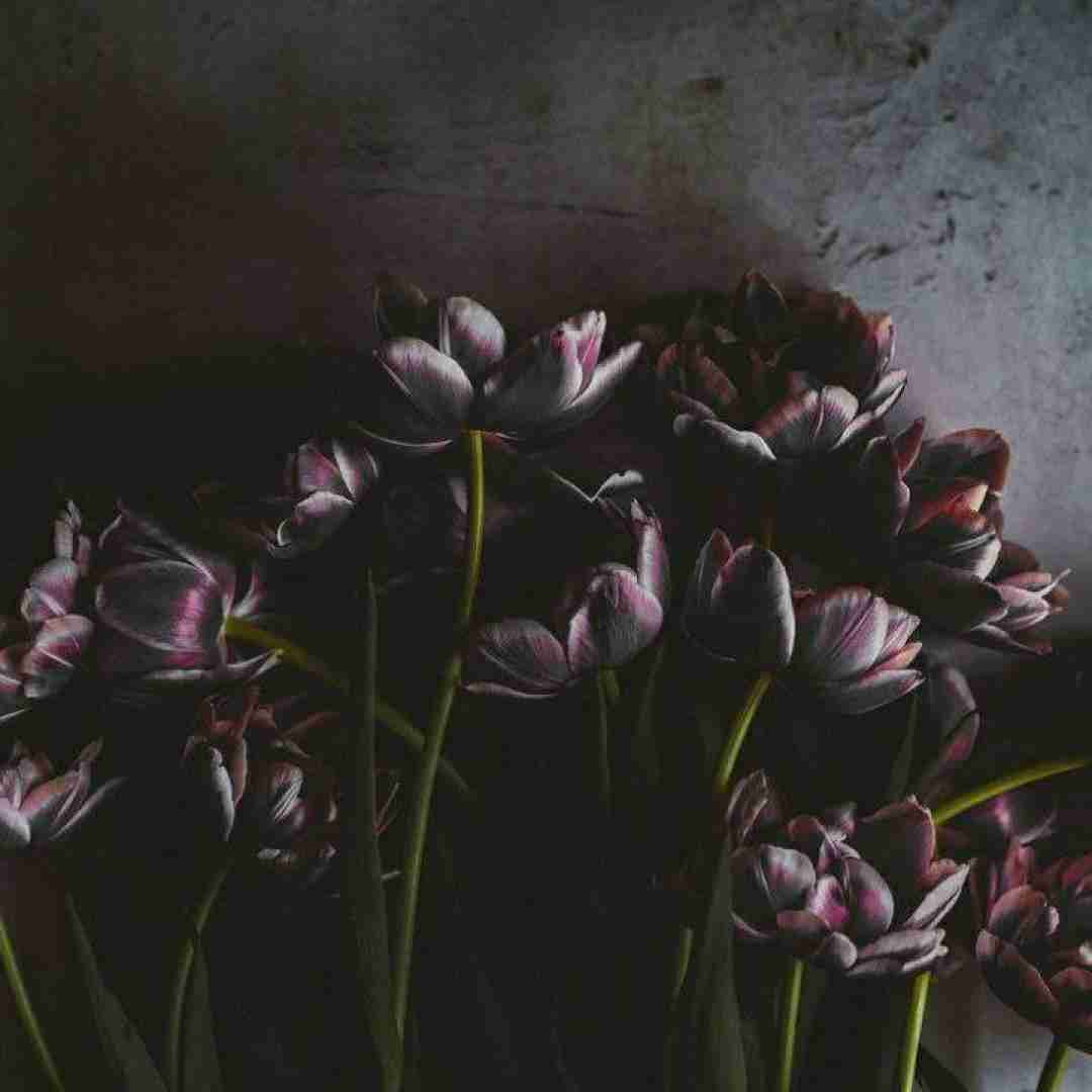  سنه سوگیمی ورمیی ایستمیشم با من قدم بزن