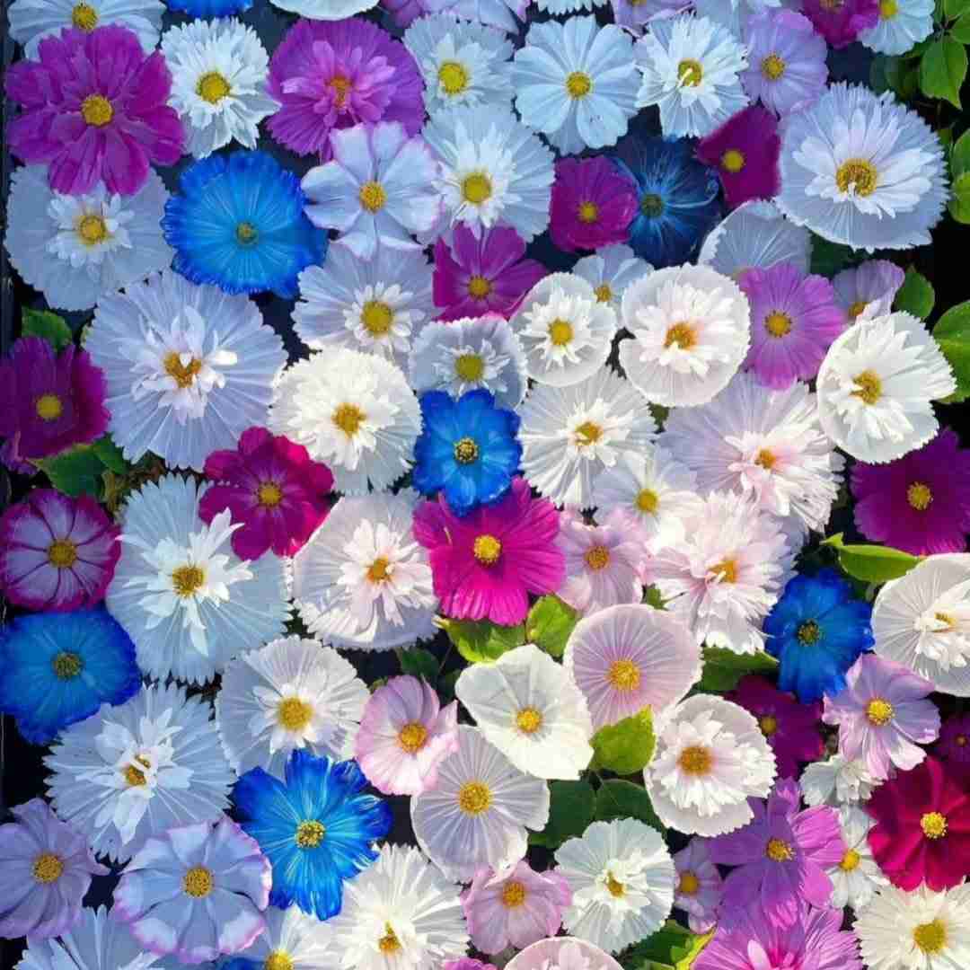  به ابروم خم میاد چشام میشه کج تر فشار میاره به لپم