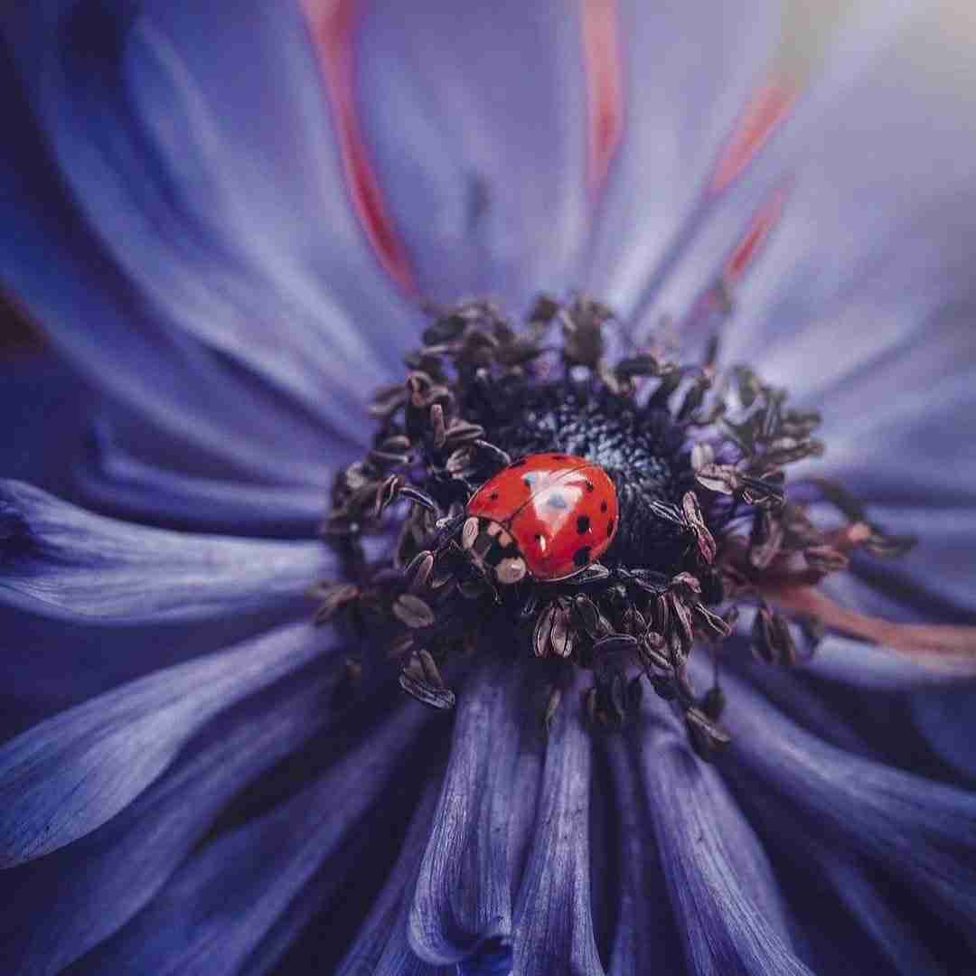  وصلم بهت اگه بری دوستت دارم مگه غریبه ای