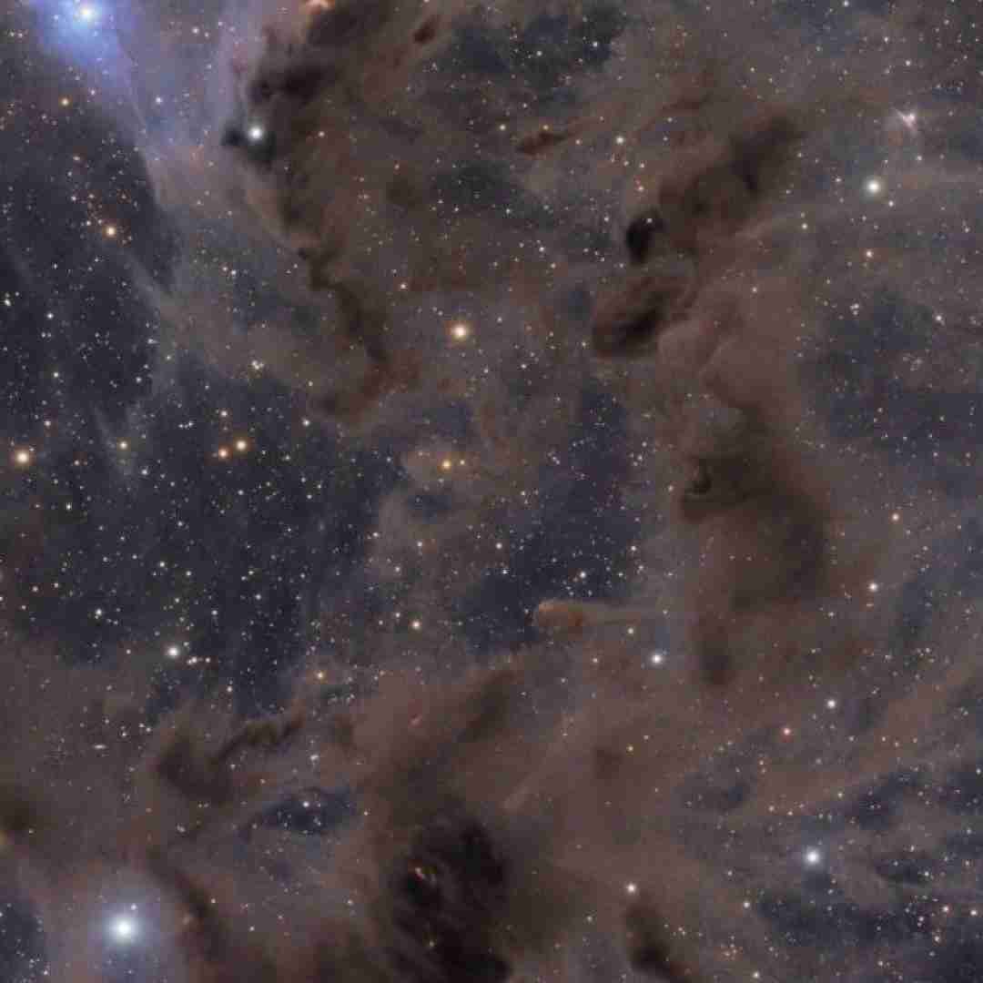  حرفارو باور نکن تو فقط به من میای قلبمو کردی بنفش