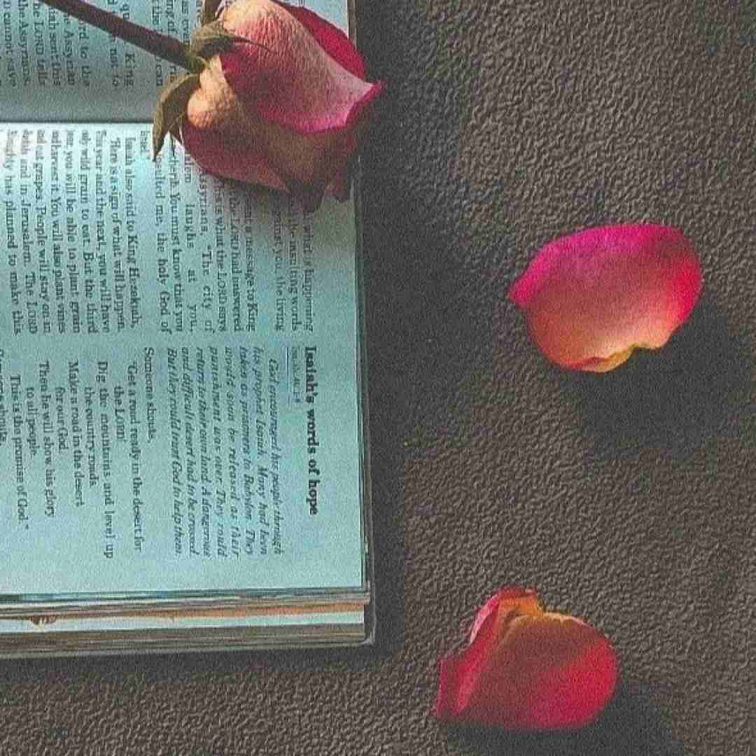  حالم دیگه به تو ربطی نداره چون رفتی برای من چی موند
