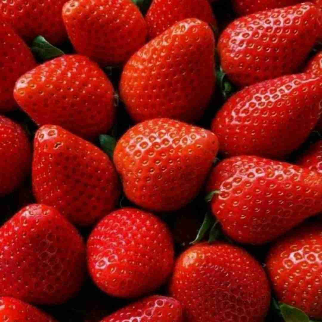 سنا برزنجی باران