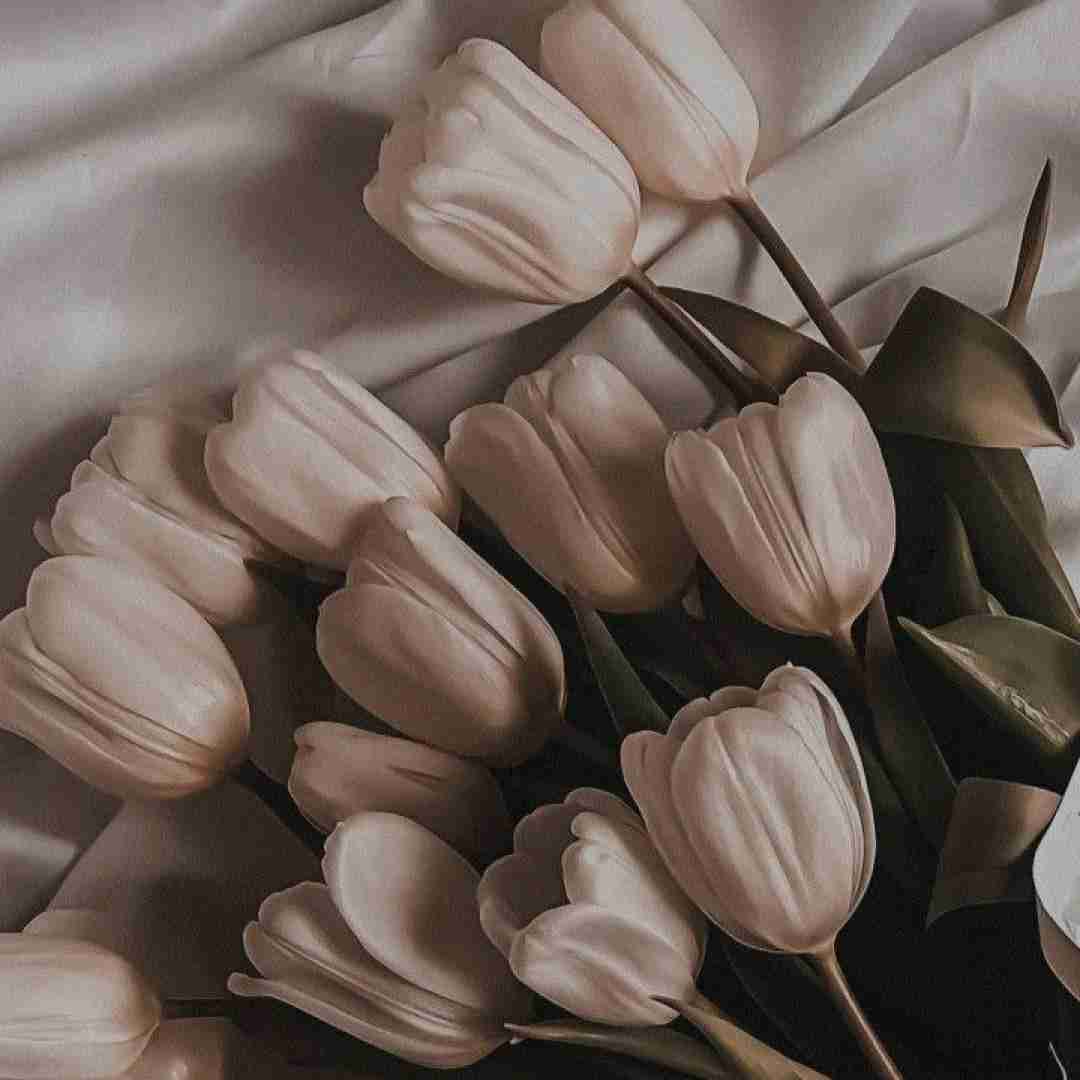  تورو دست نمیزنم تورو نفس میکشم نشی غریبه با دلم