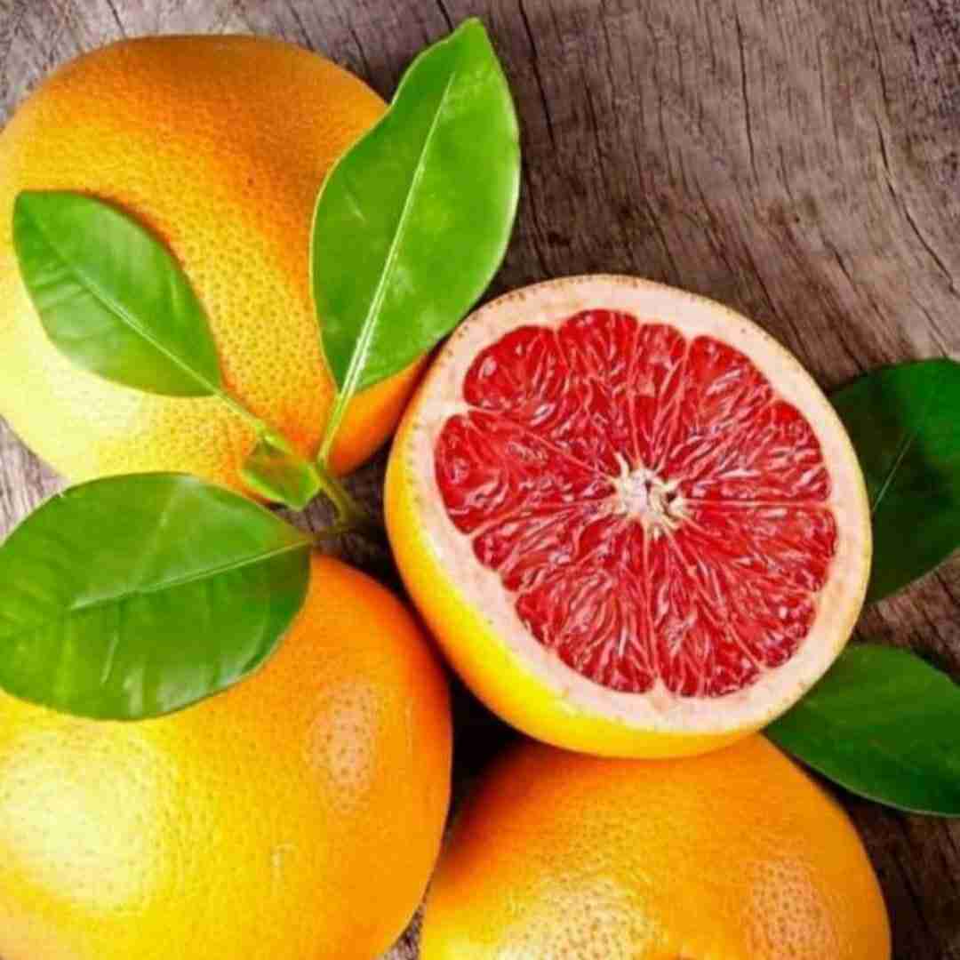 امیر ایلماز اونوتما کی دونیا فانی