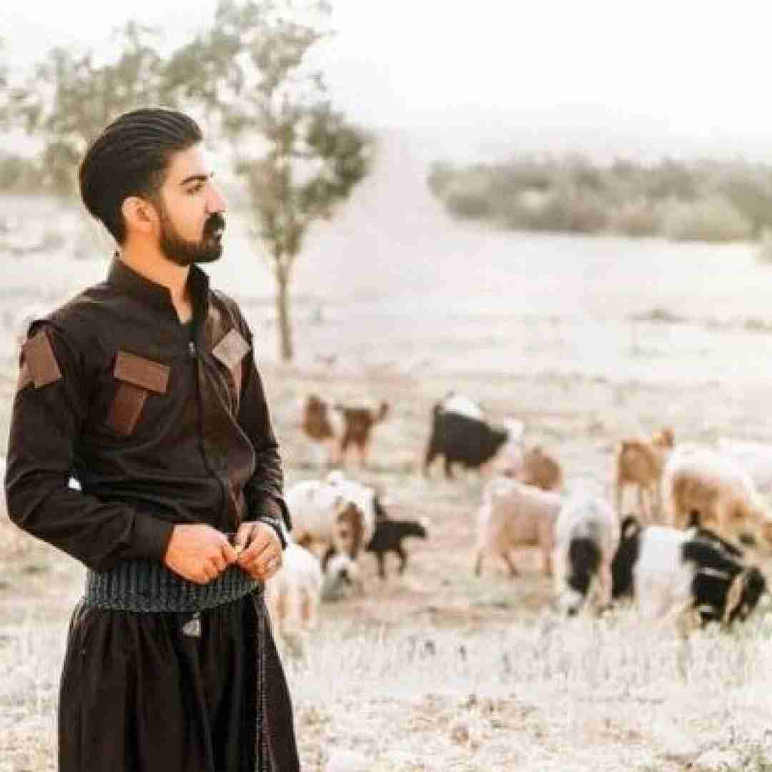 میلاد غلامی وخاطر گل رویت کفتمسه ناو ویود