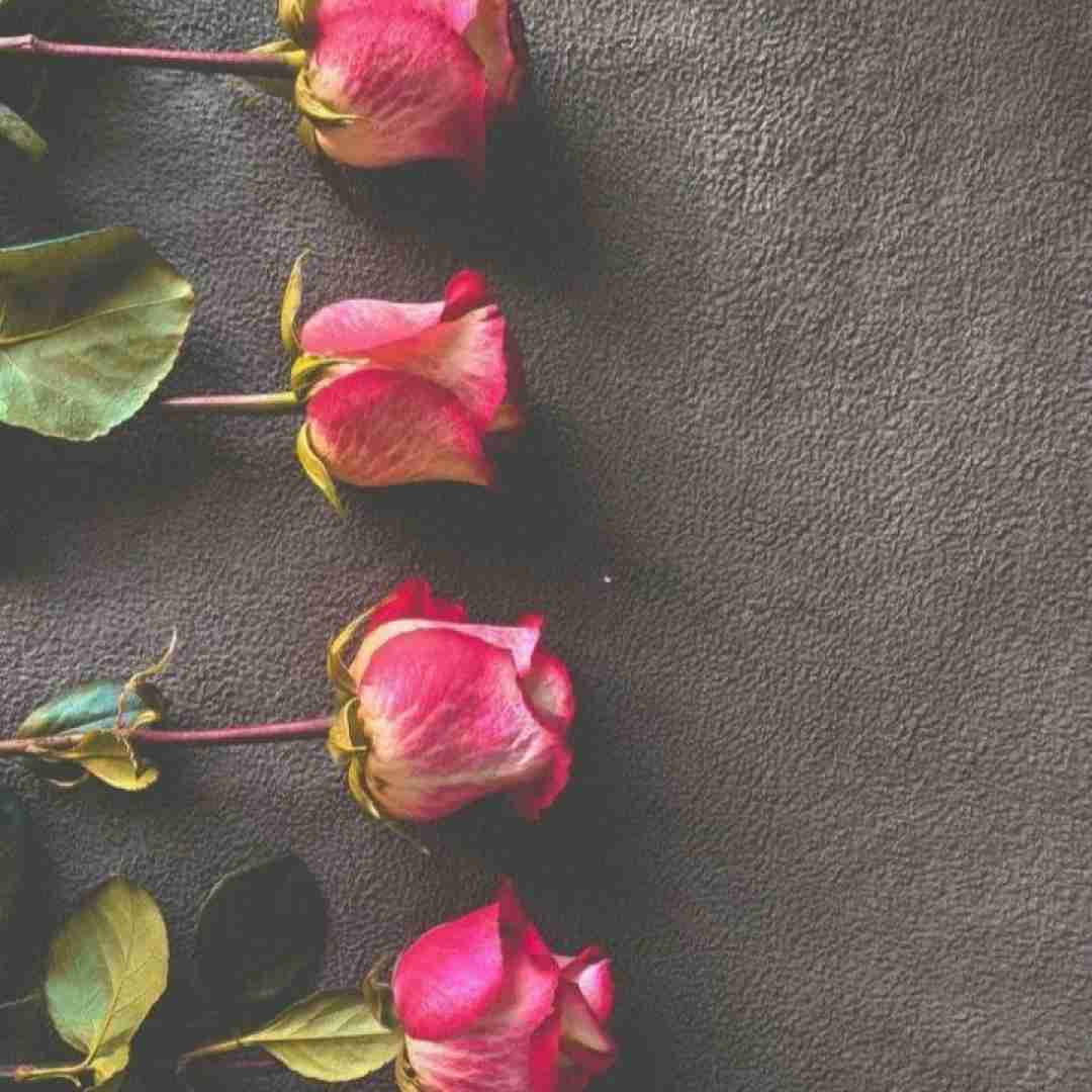  من تورو ساختمت گفتم که اون با منه تو بودی با همه