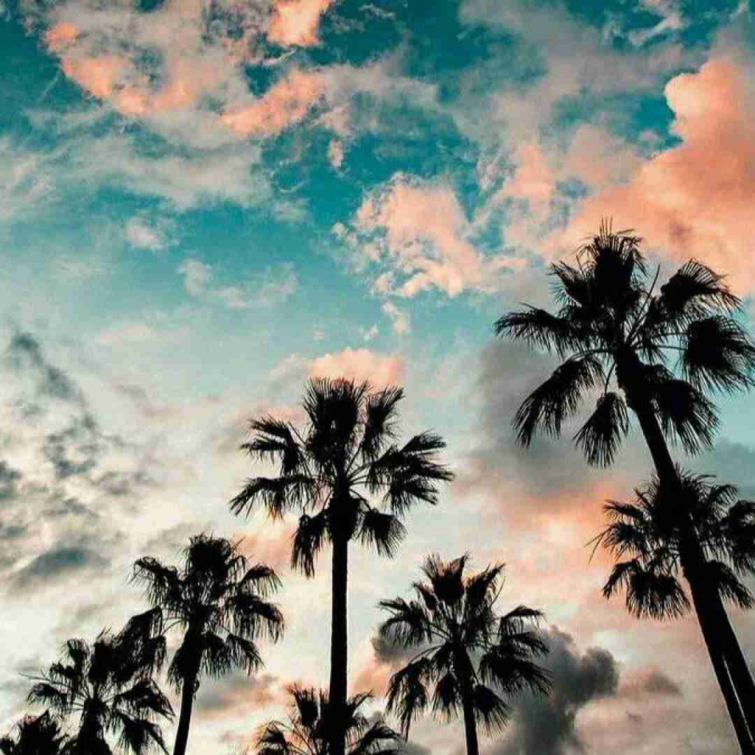  تنها و غریب با این غریبی چه کنم با صدای دختر اینستایی