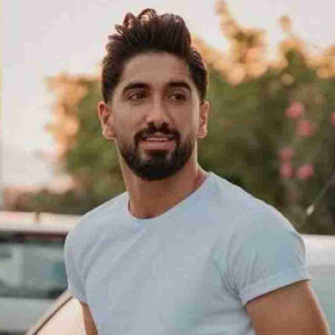 جواد عباسی ملایم