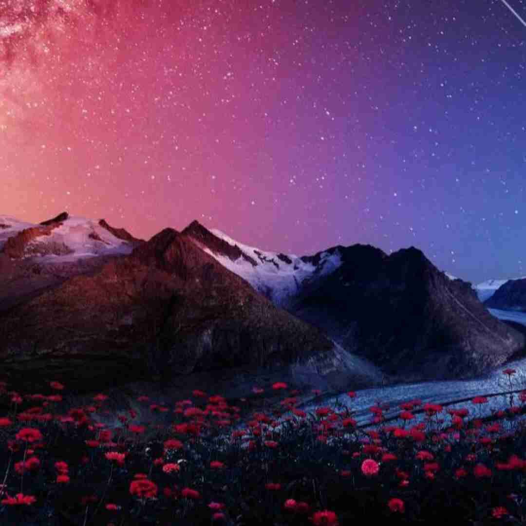 فاطمه عطایی پاپلی