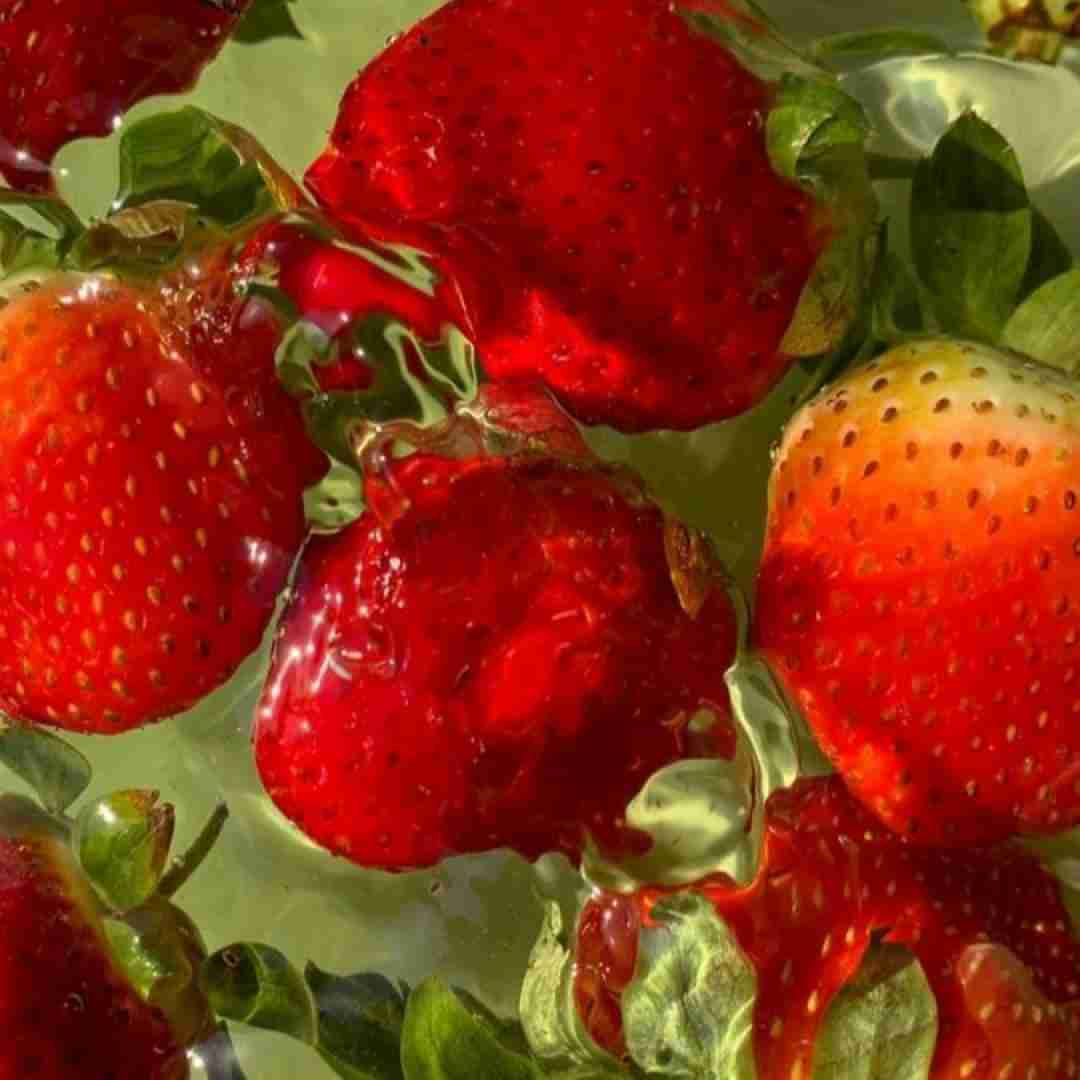 فاطمه عطایی بمیرم بیمه رسوای شهر