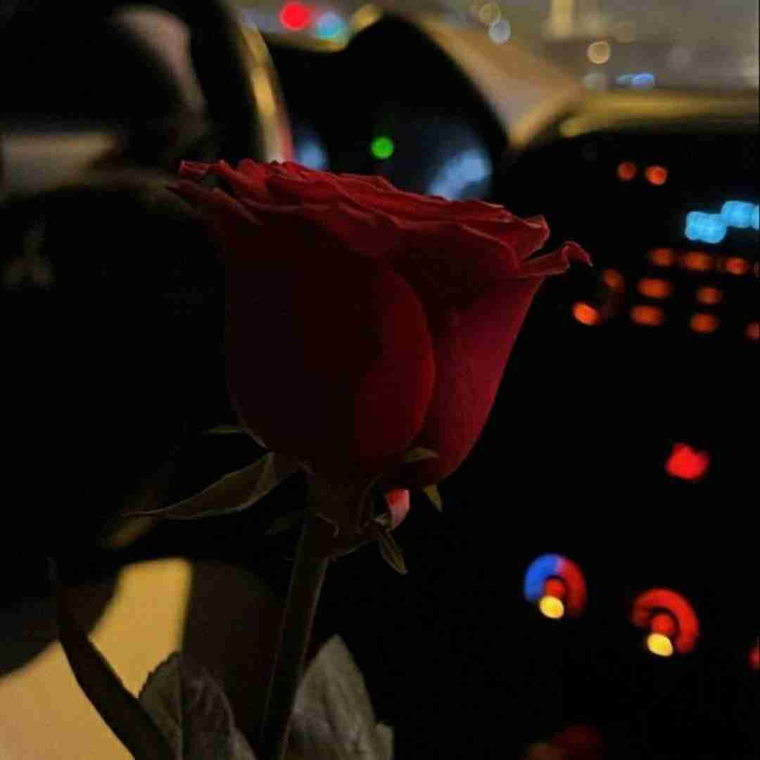 دشی بیبی
