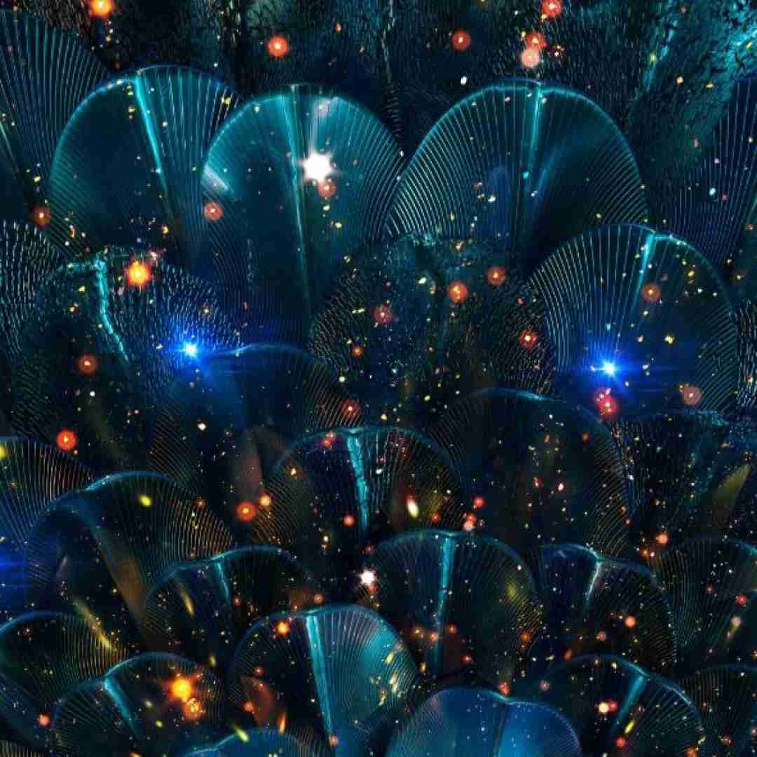 تق تق در زدم دست پر اومدم با یه چندتا شاخه گل با صدای زن
