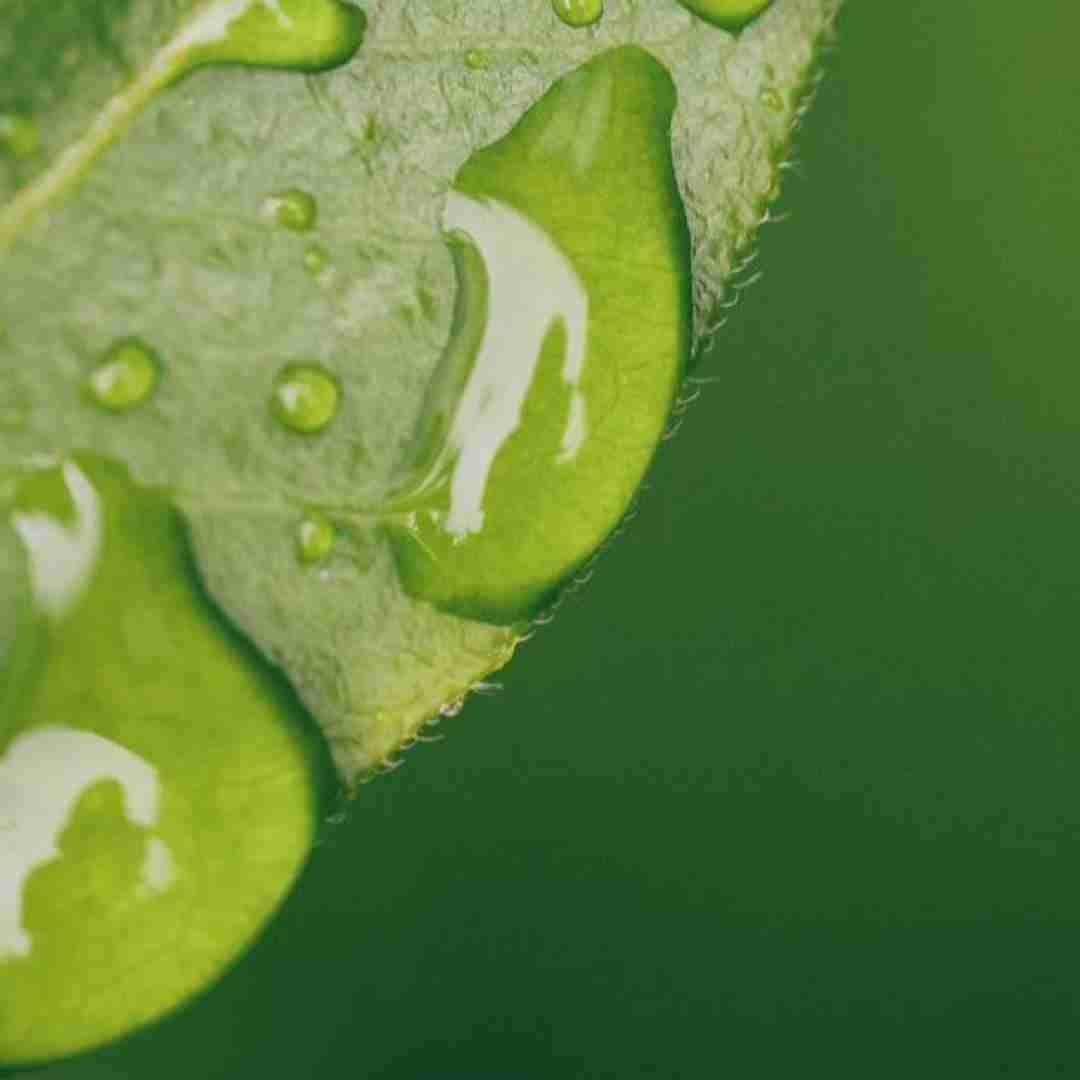 حالا بگو کی دیگه اخماتو میگیره با تو میخنده با صدای پسر اینستایی
