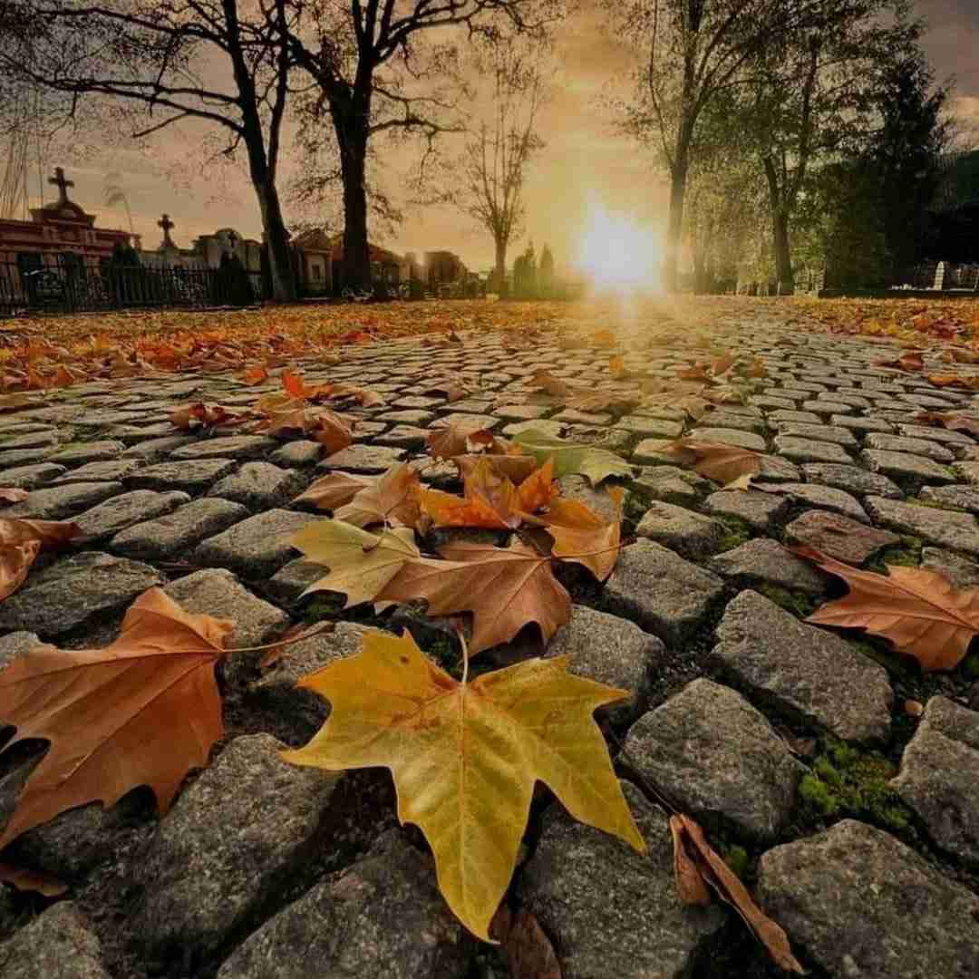 آقا خودمون بابا خودمون خودمون که سرمون بره