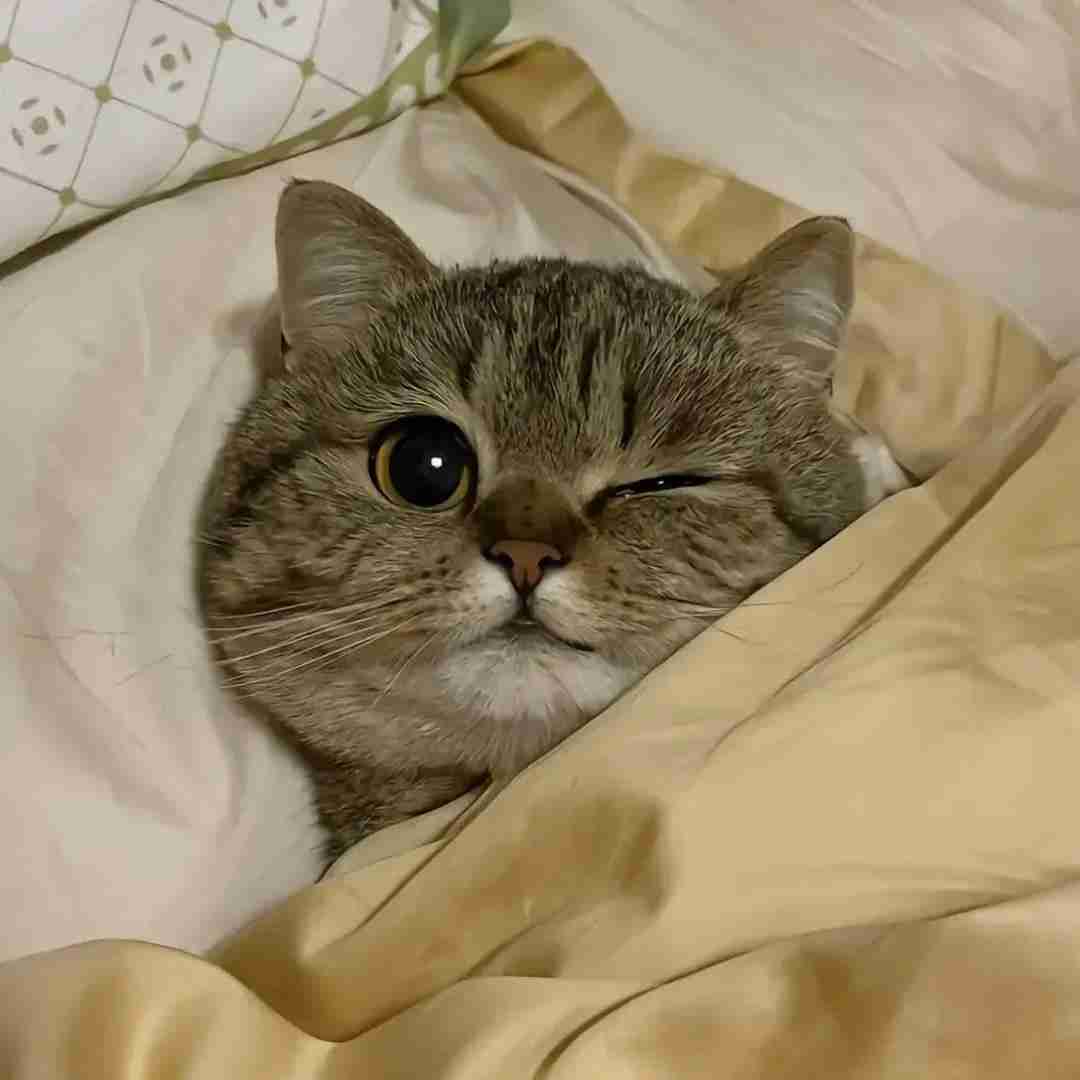 الان تقریبا سه هفته میگذره نمیدونم شاید یذره بیشتره