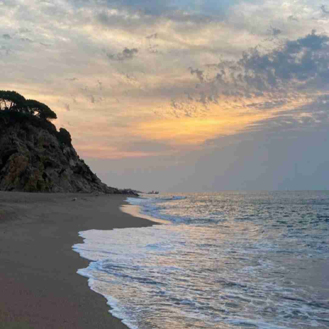  این بدن میخواد بره ولی روحه سرپا نی