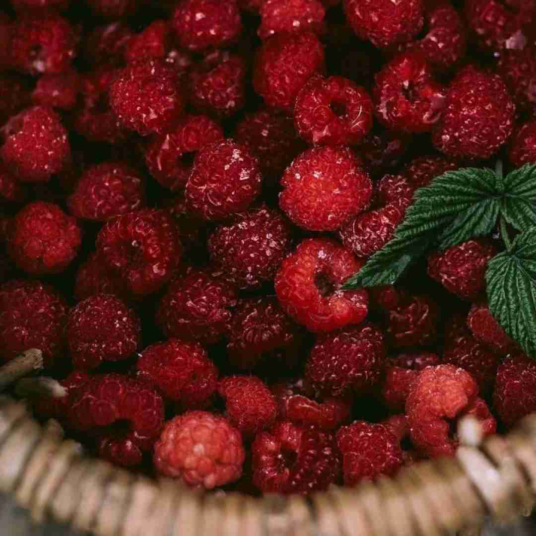 خارجی ولش کن بره فقط حرکت کن بچه ی خوبی باش (ترند اینستایی)