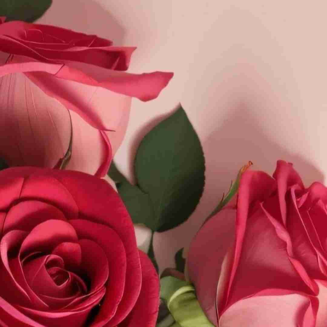  بده دستتو به من برقص امشبو نرو جایی