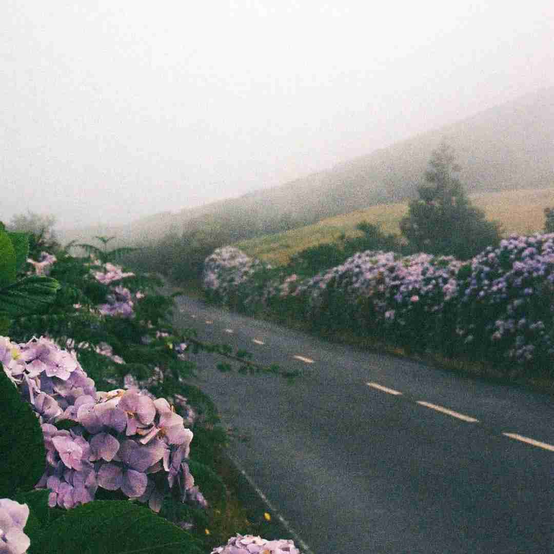  میخوام همیشه تو بخنده لبات