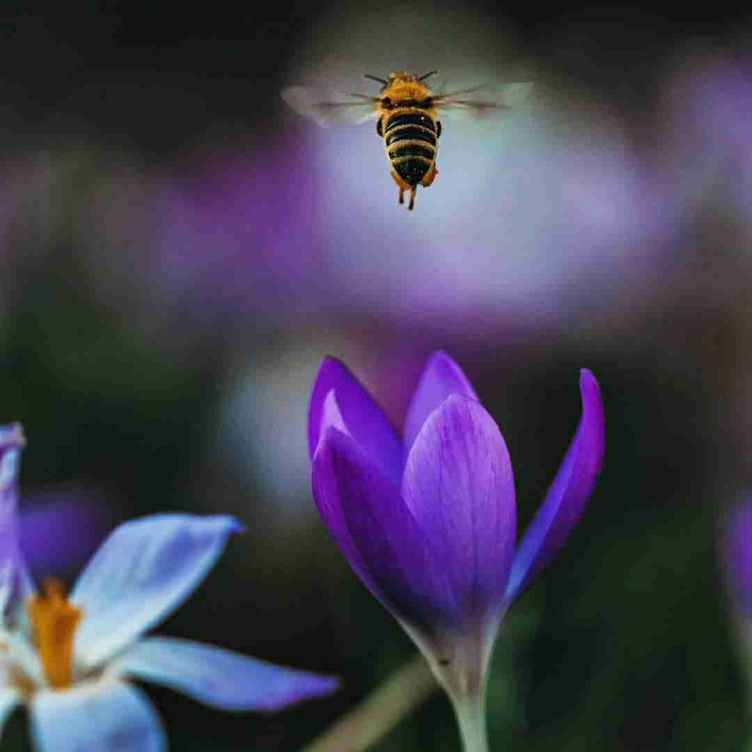  اگه تو شانس من بودی پس خیلی بدشانسم