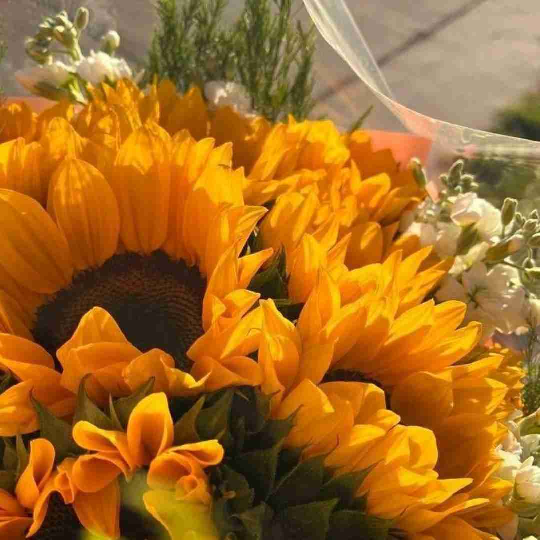  برای دوست خوبم تو جنگیم تنها