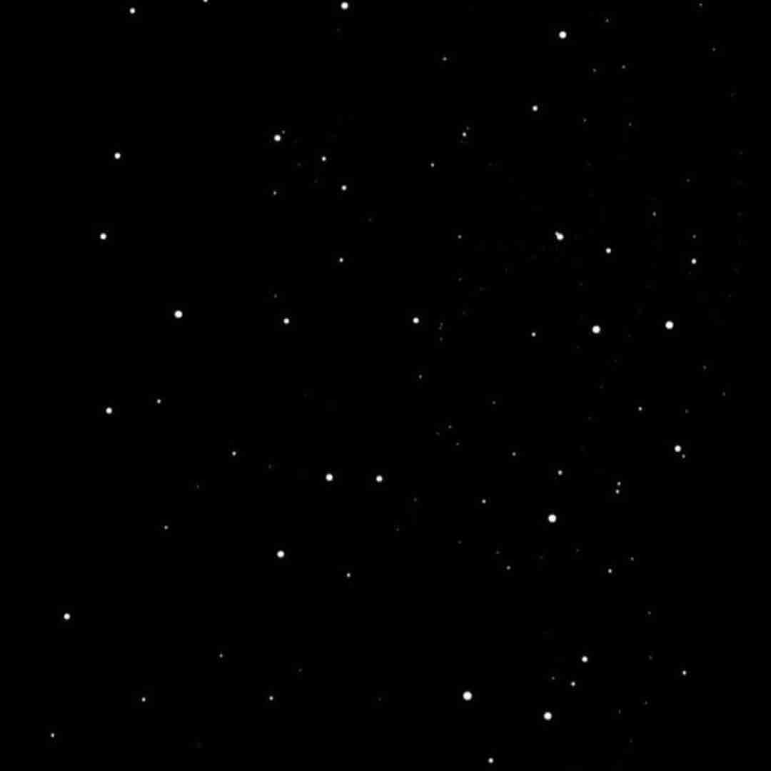  من میدیدمت اینا ولی دیدت میزنن مثله قولاته