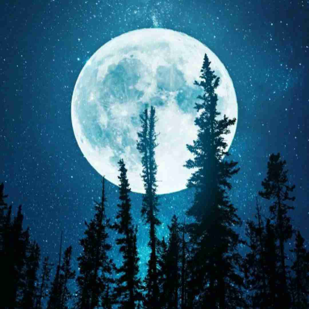  من هنوز با تو تو هنو با اون میرقصی واسش