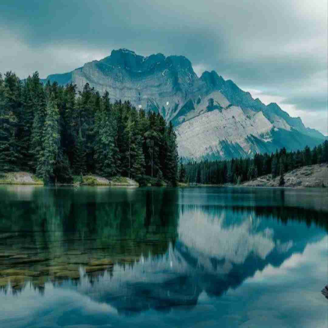 تویی آروم دلم نیستی داغون دلم دیگه آروم نمیگیرم