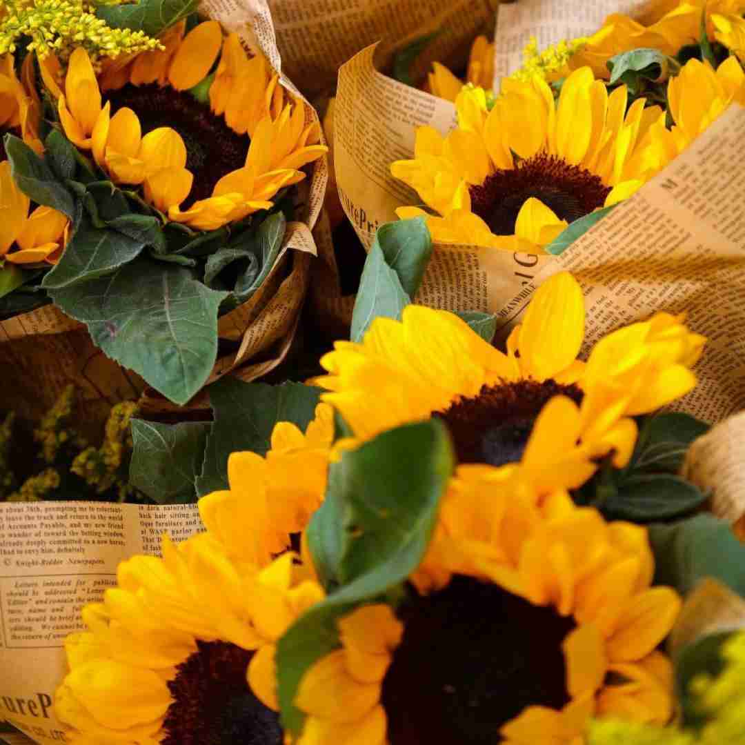 مهرد بهم میگن برو نمیدونه این دختره قدرتو