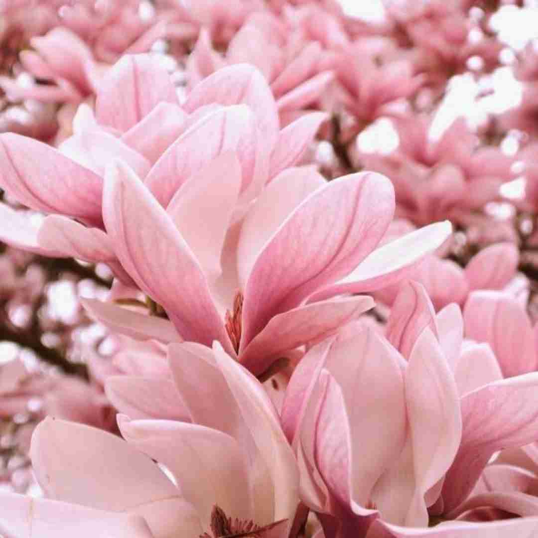  بیا برگردیم به هم من حاضرم تو با قلبت بیا با صدای زن