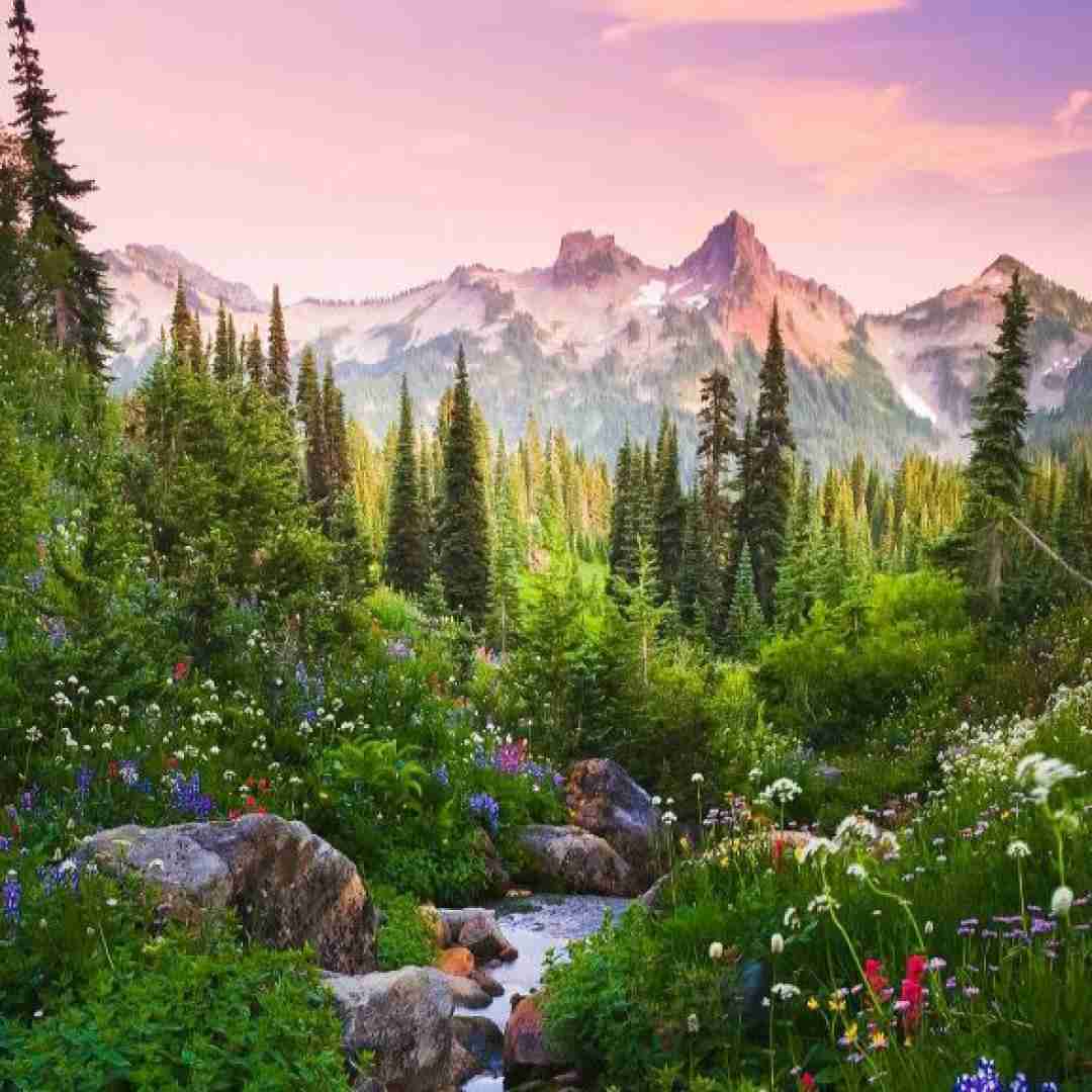  اگه میخوای بری برو من ندارم دلشو میخوای دیوونم کنی
