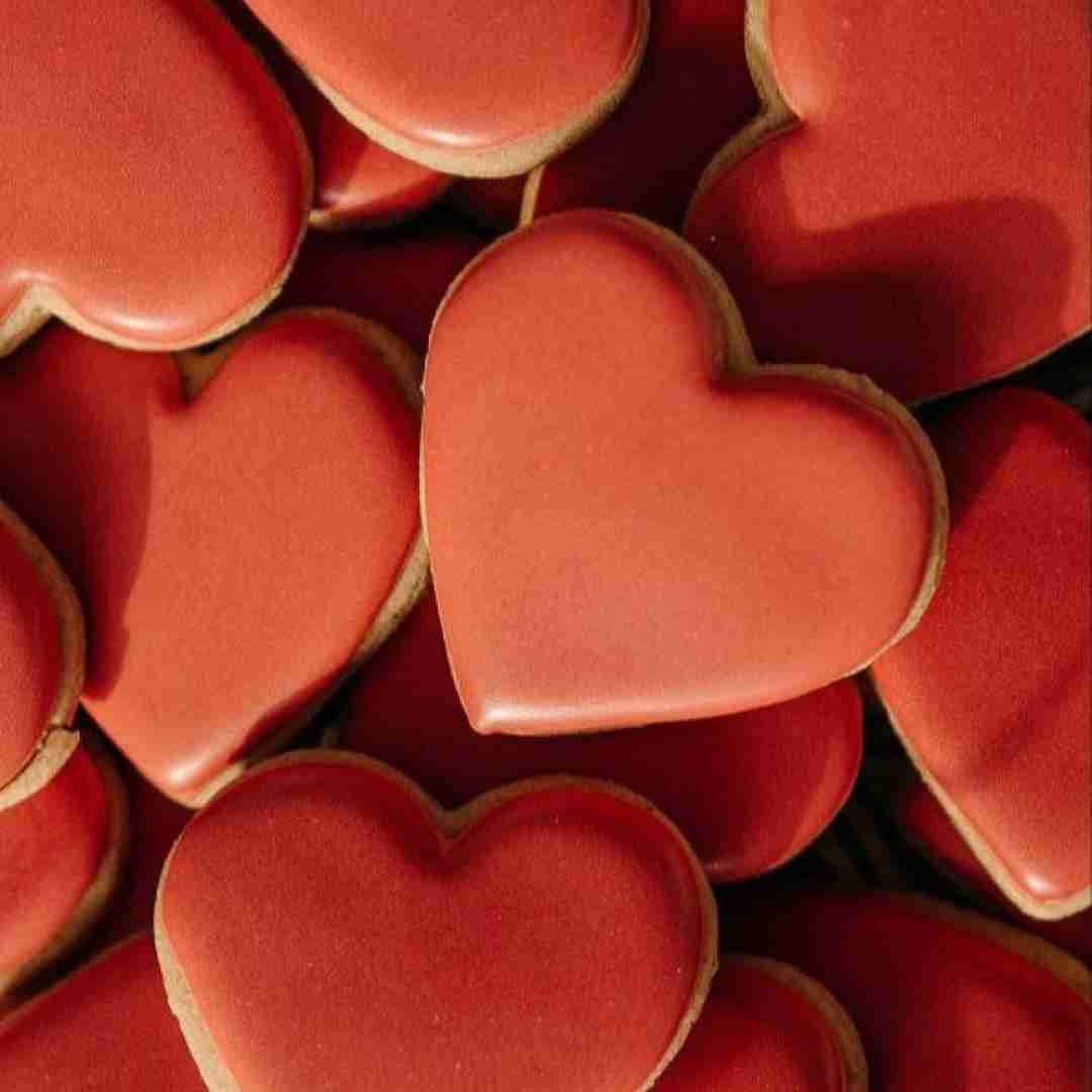  از انور شهر اومدم الکی نخندی عوضی چرا با غصه قشنگی