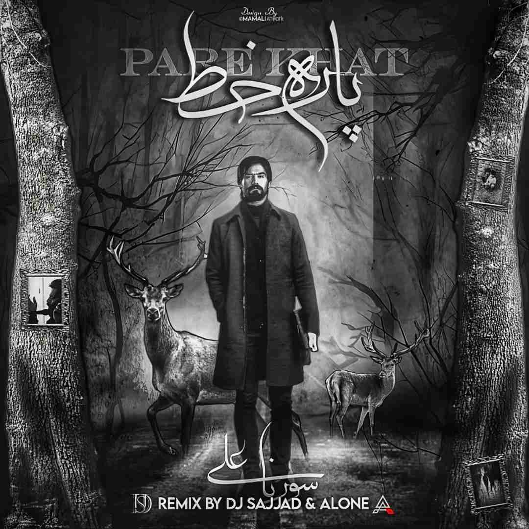 دیجی سجاد و الون پاره خط