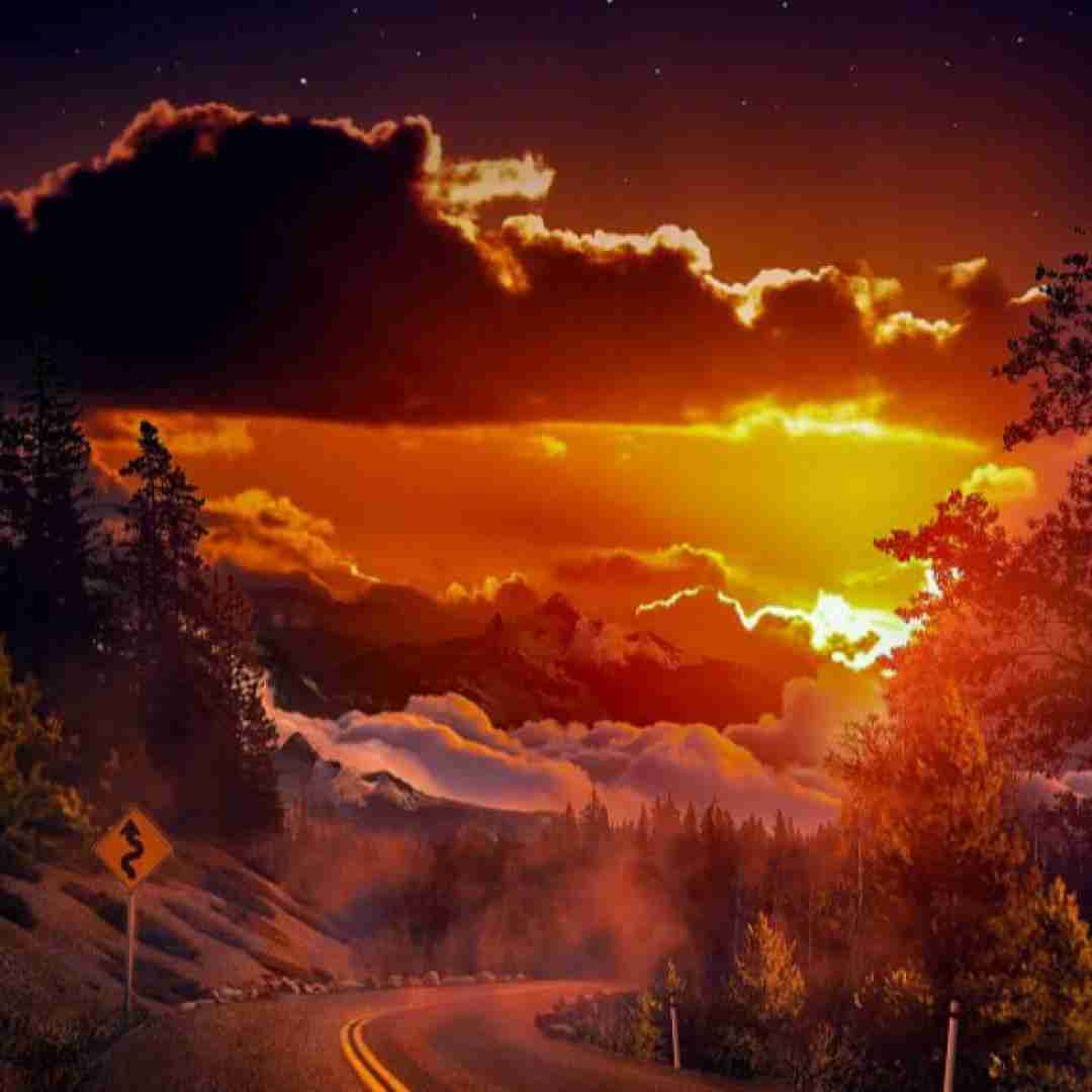 صامت و علی اس بیت اغراق