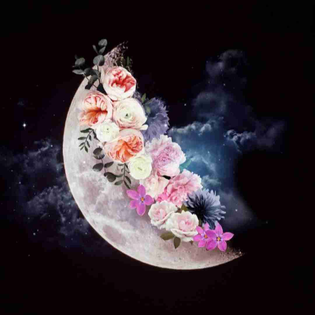  وقتی تنها نشستم فکرت دائم تو سرمه