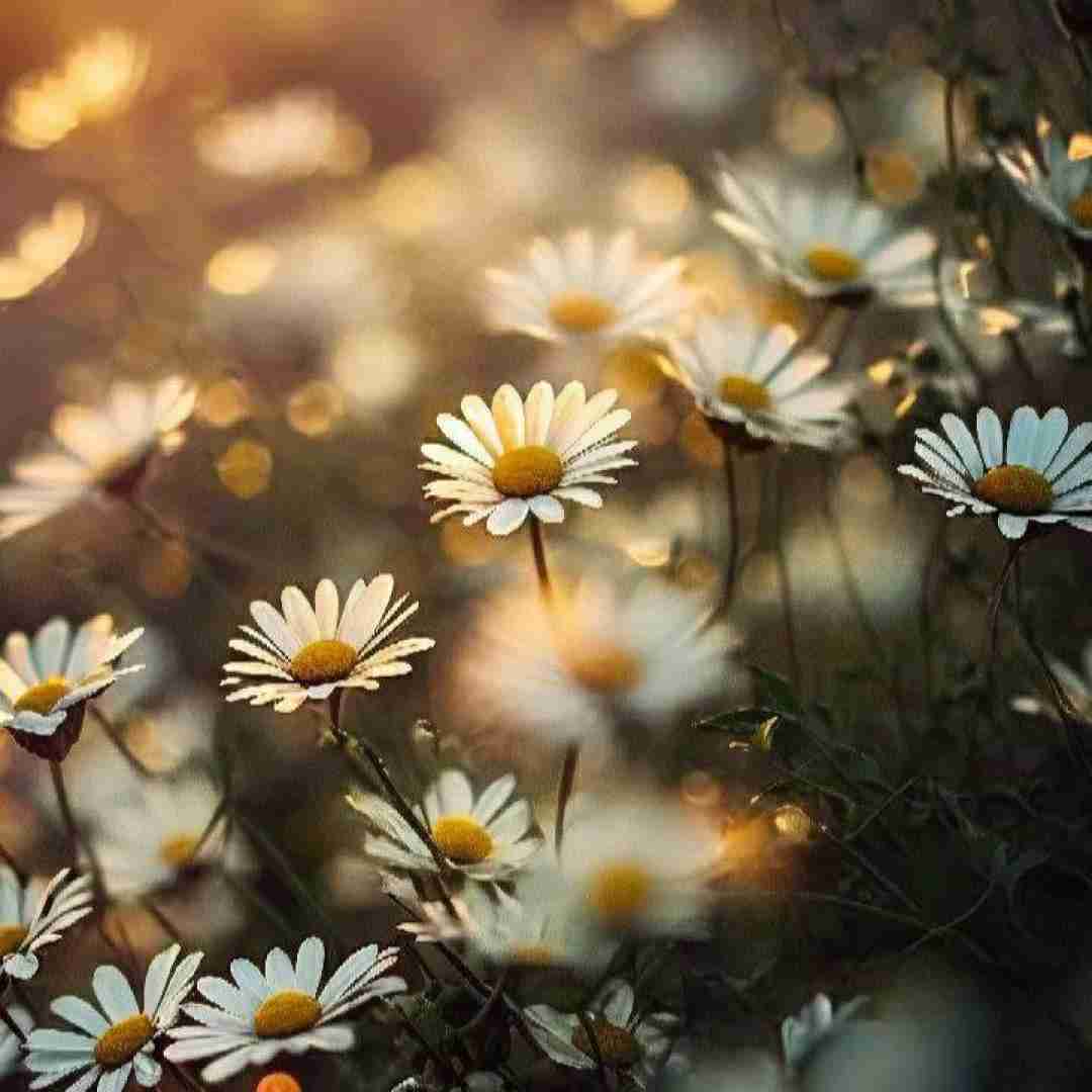  به سرم مانده صدای تو برعکس ظاهرم فهمیدی چقد احساسیم