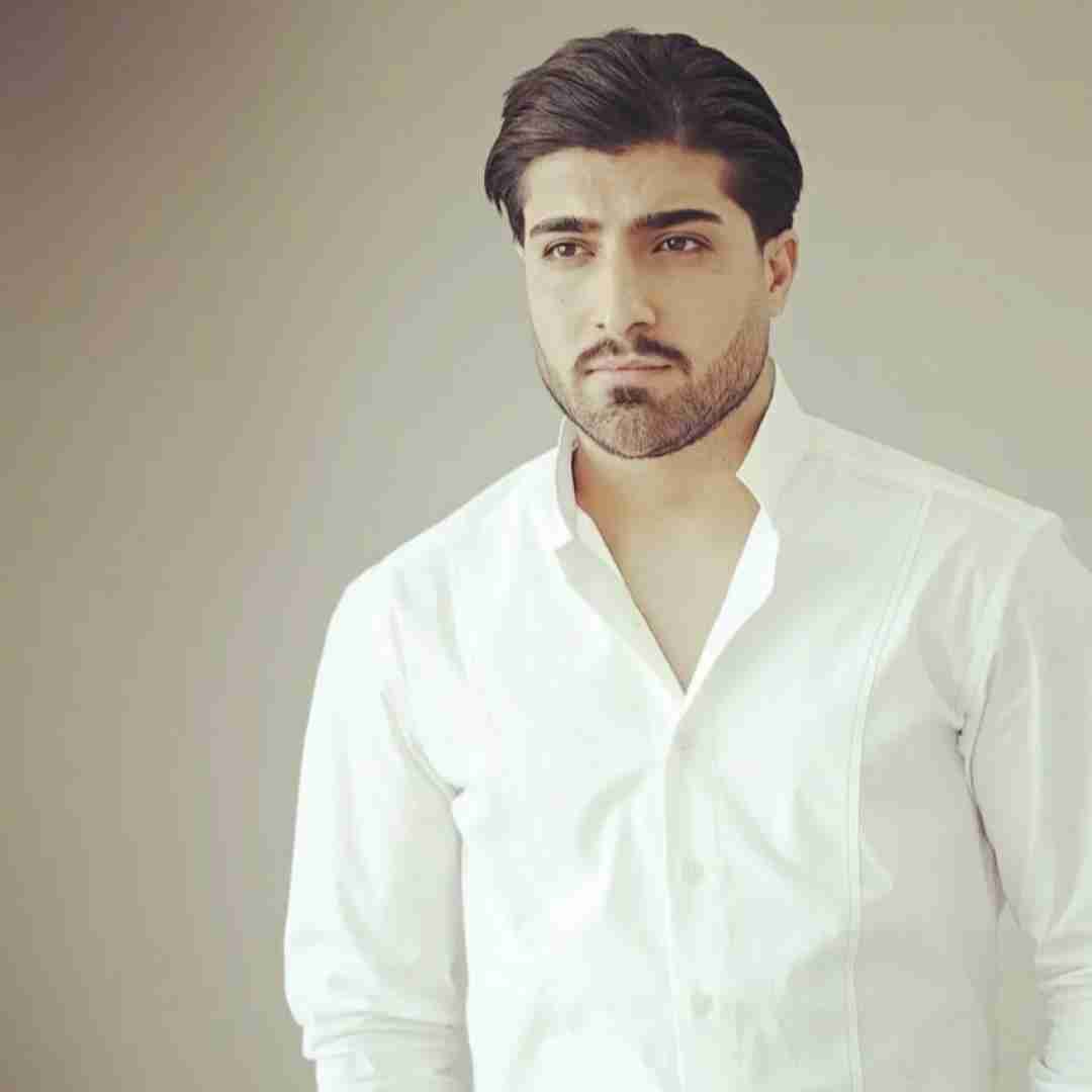 امیر لیام بس کو حالمه نگیر ببین چه سرکشی شدم