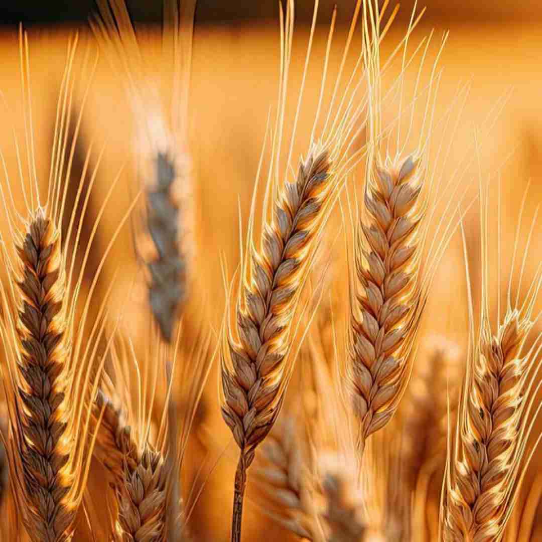  کاش از اون اول نمیخندیدی سخته حرفم رسیده وقت رفتن