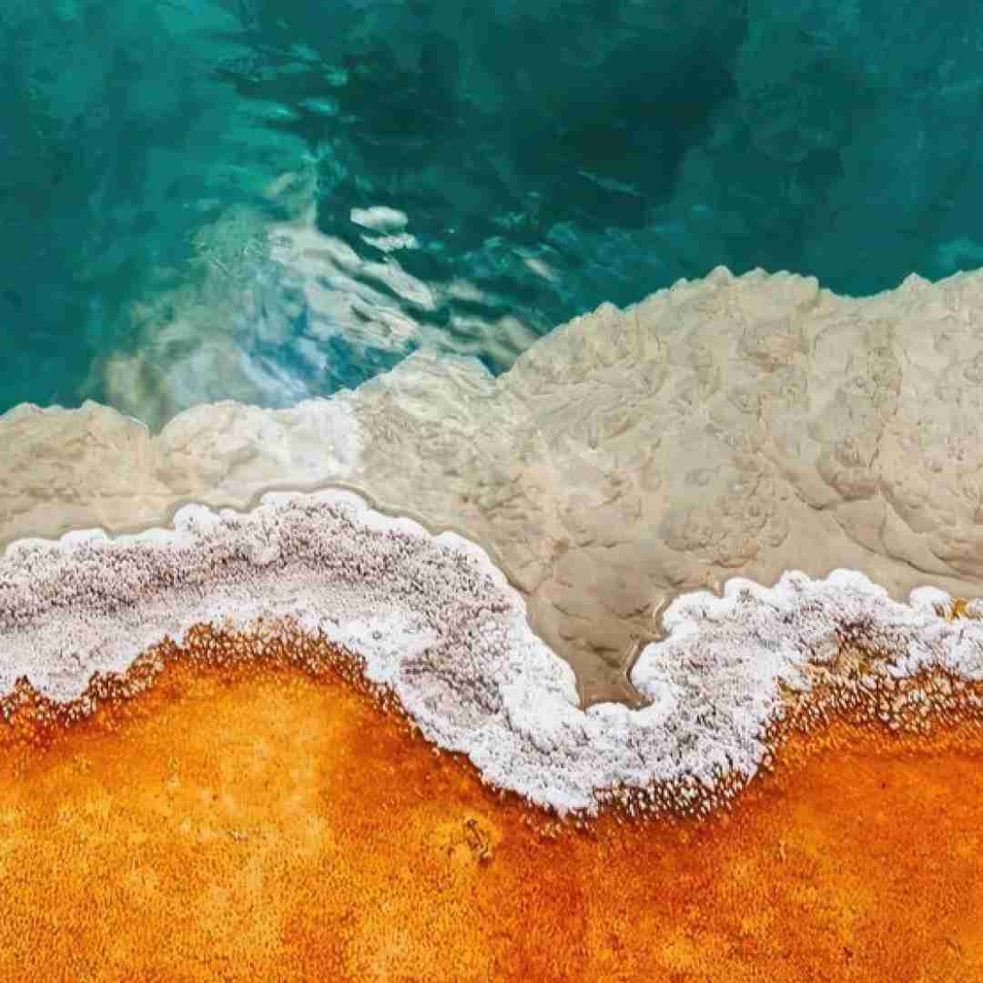  ناتکوینو نیستم همسترو آره به امید لیستم