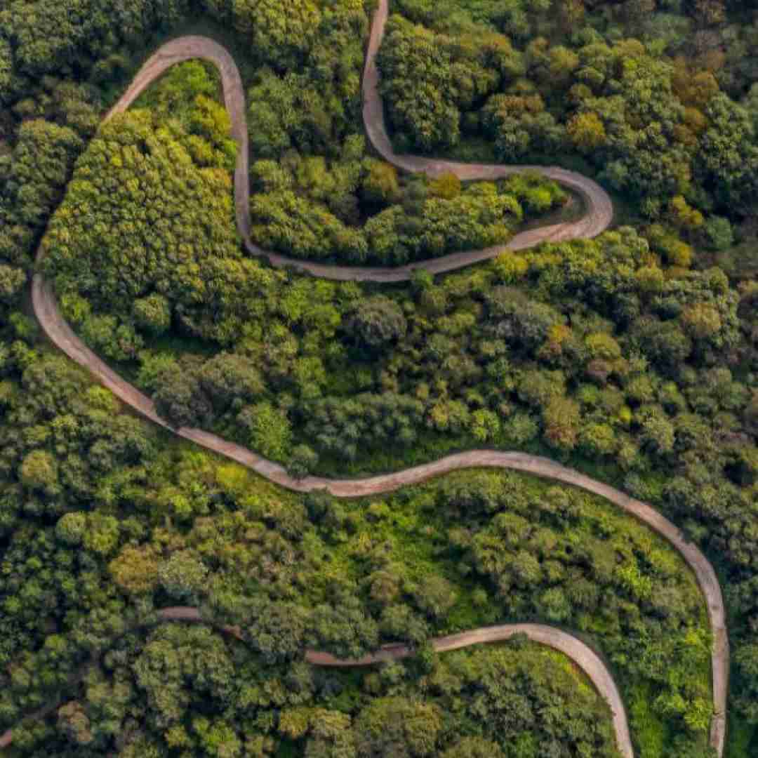  کجایی فرهادی نشسته کنج دیوار پیر شدیمانه تنهام لای کلی آدم