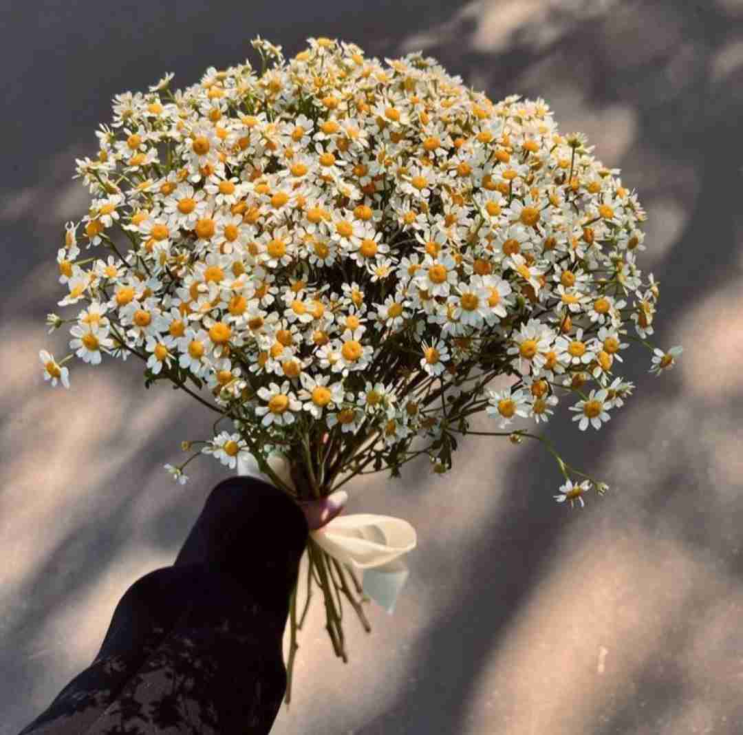  تو که هر جا بری لب دریا بری هوش مصنوعی