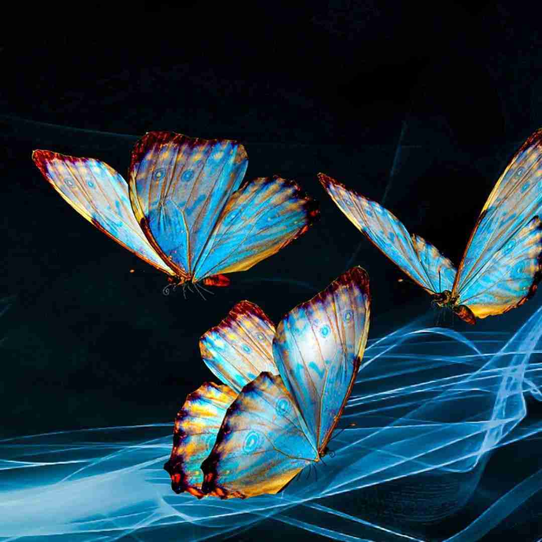  ده مگری مگری ملول گیان با صدای زن