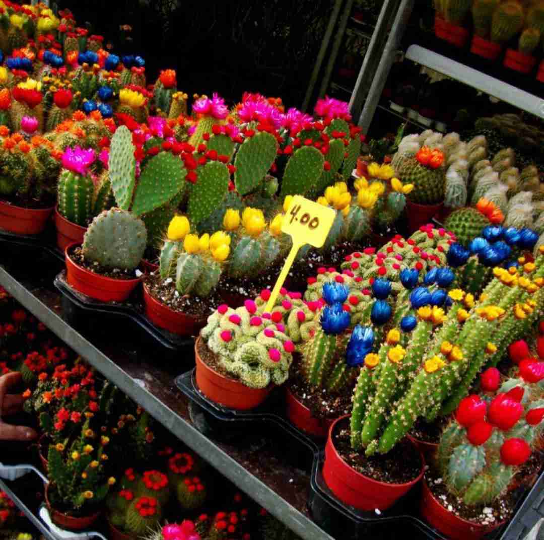  من دوست دارم به چشم من گریه نده صدای دختر