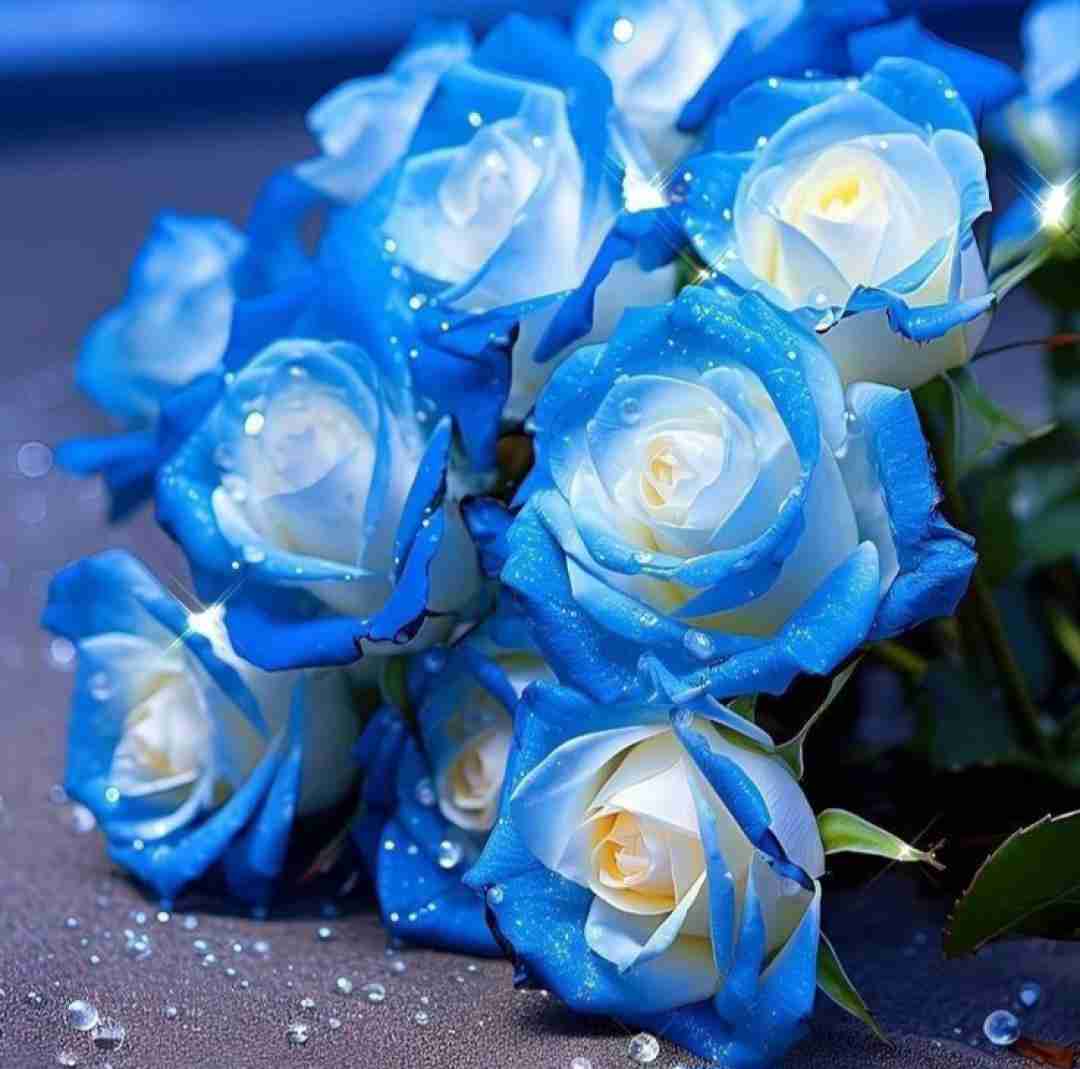  روی چشمام قدمته کلی عشق از من طلبته با صدای زن